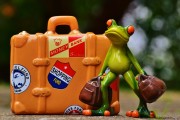 免費游戲禮包，開啟你的冒險之旅