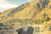 探索Mia免費(fèi)游戲世界，一個(gè)全新的冒險(xiǎn)旅程，進(jìn)入Mia的免費(fèi)游戲世界，全新冒險(xiǎn)旅程的探索開始！