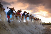 種地免費(fèi)游戲，開(kāi)啟你的農(nóng)業(yè)夢(mèng)想之旅，種地大富翁，啟動(dòng)你的農(nóng)田冒險(xiǎn)之旅，免費(fèi)享受農(nóng)業(yè)的樂(lè)趣