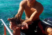 夢(mèng)到捉魚的奇幻之旅，夢(mèng)中的捉魚奇幻之旅