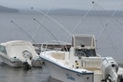 海峽釣魚論壇注冊指南，輕松入門，暢享釣魚樂趣，海峽釣魚論壇注冊攻略，新手快速上手，體驗(yàn)釣魚之樂