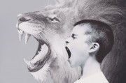 夢(mèng)中的哭泣之貓，一場(chǎng)神秘的夢(mèng)境之旅