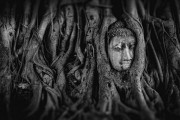 夢(mèng)中的神秘之旅，一次與怪魚(yú)的邂逅，夢(mèng)中的神秘之旅，與怪魚(yú)的邂逅