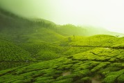 普洱新聞，茶都新篇，綠色發(fā)展引領(lǐng)未來，普洱綠色發(fā)展，茶都新篇，引領(lǐng)未來新風(fēng)尚