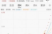 連續(xù)漲停又跌停！一批公司提示風險