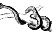 夢(mèng)魘之蛇，蛇咬手之謎，夢(mèng)魘之蛇，蛇咬手之謎的解析