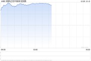 午盤(pán)：美股漲跌不一 中概股指數(shù)大漲10%