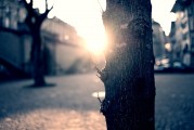 夢中的破碎之光——燈泡碎了的寓意與解讀，夢中的破碎之光，燈泡碎了的深層寓意與解讀