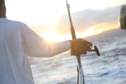 夢游深海，與巨魚共舞，夢游深海，共舞巨魚之旅