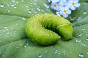 綠色先鋒，守護碧水藍天—環(huán)保新聞聚焦，碧水藍天守護者，綠色先鋒環(huán)保紀實