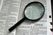 詳解白名單注冊(cè)流程，輕松加入高效通道，白名單注冊(cè)攻略，開(kāi)啟高效通道的簡(jiǎn)易流程揭秘
