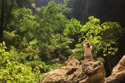 山路之夢(mèng)，探索未知的旅程，山路之夢(mèng)，探索未知的旅程