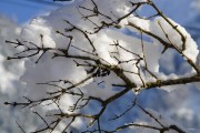 夢中大雪紛飛，厚雪之下的世界，夢中大雪紛飛，厚雪之下的世界探索
