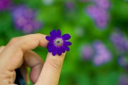 芭比打扮游戲免費下載，讓小女孩過上精致的生活，芭比打扮游戲