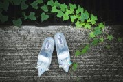 夢(mèng)中見證友情的盛典——夢(mèng)到朋友結(jié)婚的感悟，夢(mèng)中見證友情的盛典，夢(mèng)到朋友婚禮的感悟