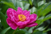 花啦花啦注冊難題解析，常見問題及解決方案，花啦花啦注冊攻略，常見問題解答與解決方案