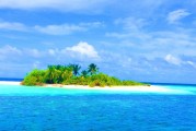 海魚之夢，探索夢境深處的海洋奧秘，海魚之夢，探索夢境深處的海洋奧秘