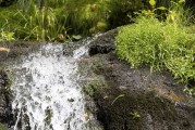 流量與網(wǎng)站訪問，一個(gè)動(dòng)態(tài)平衡的藝術(shù)，數(shù)字營(yíng)銷中的動(dòng)態(tài)平衡藝術(shù)，如何實(shí)現(xiàn)流量和訪問的動(dòng)態(tài)調(diào)整
