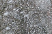 雪舞夢(mèng)境——我的夢(mèng)中雪景，雪舞夢(mèng)境，我的夢(mèng)中雪景的詩意之旅