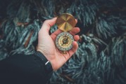 夢中的白發(fā)生長，一次關(guān)于時間、衰老與自我認知的探索，夢中的白發(fā)生長，時間、衰老與自我認知的探索