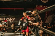 格斗游戲的狂熱與挑戰(zhàn)——探尋免費(fèi)版的力量，探索付費(fèi)格斗游戲，免費(fèi)版本的力量
