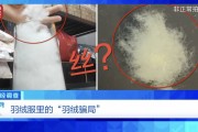 “羽絨騙局”曝光：兒童羽絨服也造假，檢測(cè)報(bào)告成本一兩元錢