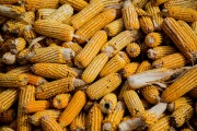 如何應(yīng)對(duì)期貨回撤問(wèn)題？有哪些有效策略？