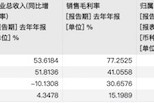 2024智駕年報透視：輔助駕駛扭虧為盈，自動駕駛?cè)詿X