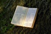 夢(mèng)到書，一場(chǎng)心靈與知識(shí)的奇妙旅程，夢(mèng)中的書，心靈與知識(shí)的奇妙旅程