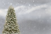 桌面圣誕樹(shù)插件網(wǎng)站，點(diǎn)亮冬日溫馨，增添節(jié)日氣氛