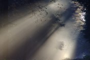 夢遇高僧，一場心靈的覺醒之旅，夢遇高僧，心靈覺醒之旅
