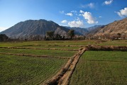 夢(mèng)到火燒山的深層解讀，夢(mèng)到火燒山的深層解讀