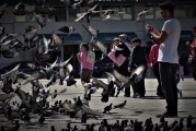 夢(mèng)中的驚魂時(shí)刻——一次車禍的夢(mèng)境之旅，夢(mèng)中的驚魂時(shí)刻，車禍夢(mèng)境的探索之旅