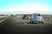 賽車之夢(mèng)，速度與激情的交織，賽車之夢(mèng)，速度與激情的交織