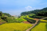 湘西網(wǎng)站流量，助力鄉(xiāng)村振興的數(shù)字引擎