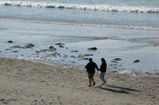 夢到豆子，一場關(guān)于生命與希望的夢境之旅，豆子之夢，生命與希望的探索之旅