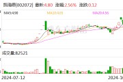 凱瑞德：公司董事長、總經(jīng)理紀(jì)曉文解除留置