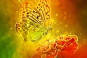 體驗無限可能的戶外游戲，免費游戲的無限可能，挑戰(zhàn)極限，自由游戲——您的戶外冒險樂趣新起點