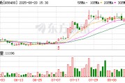 賽恩斯：2025年半年度歸屬于上市公司股東的凈利潤(rùn)為49028285.58元