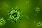 澳大利亞出現(xiàn)新冠新變種 FluQE：傳染性更高，幾周內(nèi)病例或激增