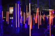 夢中喜宴，一場難忘的盛宴，夢中喜宴，難忘的盛宴之旅