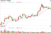 董事長被留置并立案調(diào)查 股價盤中一度跌超10% 萬辰集團如何化解危機？
