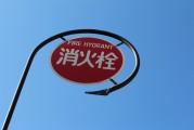 無廣告、無內(nèi)購、無充值的跑酷游戲大放送！為愛發(fā)電