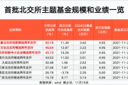 北交所主題基金 最高大賺50%！