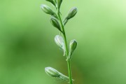 搭建菠菜網(wǎng)站的重要性與步驟，重要性，為何搭建菠菜網(wǎng)站？步驟指南