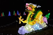 保衛(wèi)蘿卜游戲中，免費并不是一種誘惑，保衛(wèi)蘿卜，游戲中的付費意識與策略分析