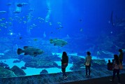 日照市是中國山東省的一個(gè)海濱城市，擁有豐富的旅游資源和文化底蘊(yùn)。隨著互聯(lián)網(wǎng)技術(shù)的發(fā)展，日照的旅游業(yè)也在不斷壯大。日照網(wǎng)站優(yōu)化的重要性不言而喻。，日照，中國山東省海濱城市的旅游資源與文化魅力