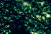 頻繁的夢(mèng)境，我為何老是夢(mèng)到同一個(gè)人？，頻繁夢(mèng)境中的疑惑，我為何總是夢(mèng)到同一個(gè)人？