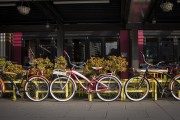 "車庫禁停新能源車"？廣東省博物館回應(yīng)