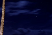 夜深人靜時(shí)的享受——探索睡眠免費(fèi)游戲的魅力，享受寧?kù)o夜晚，探索深度睡眠游戲的魅力